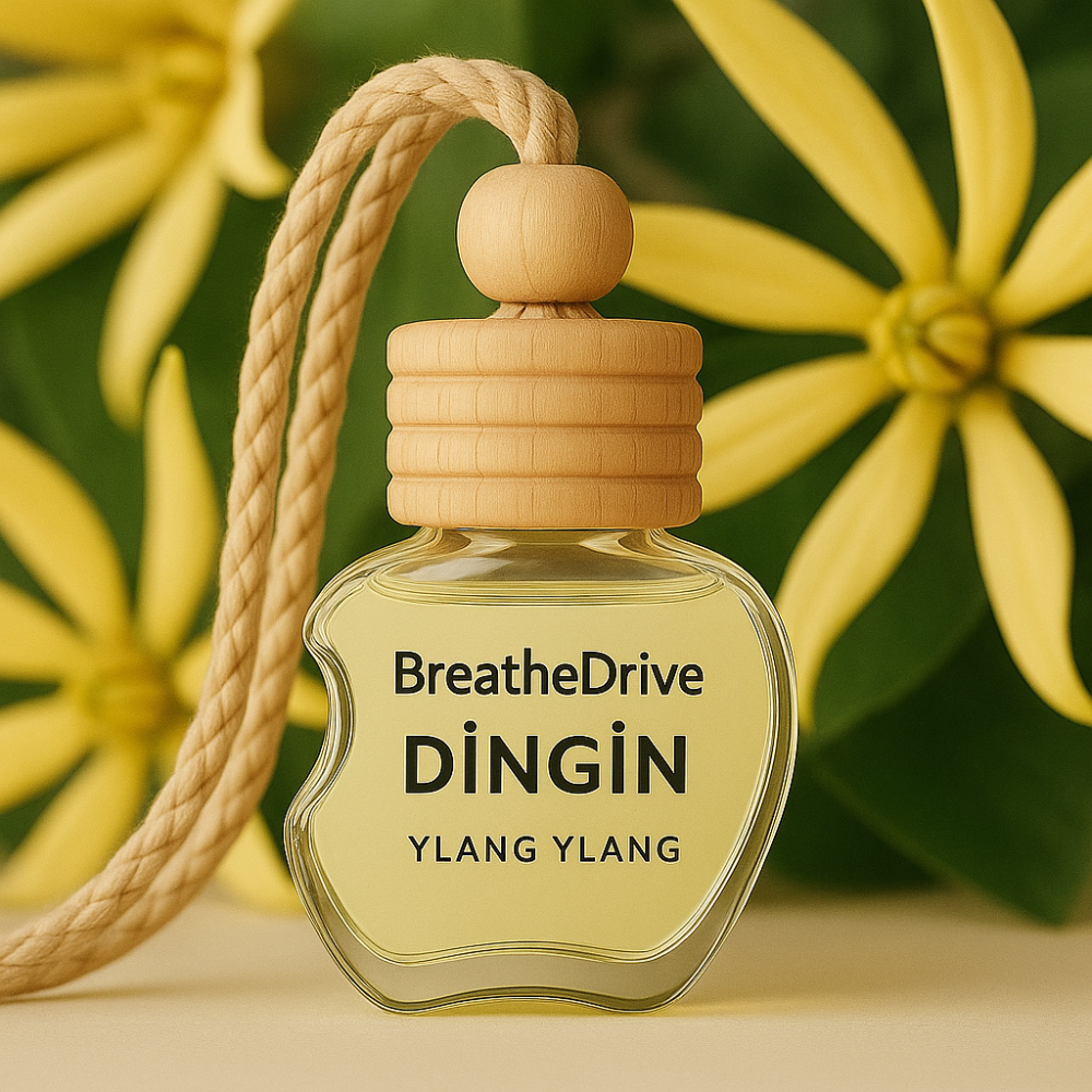 Dingin – Ylang Ylang